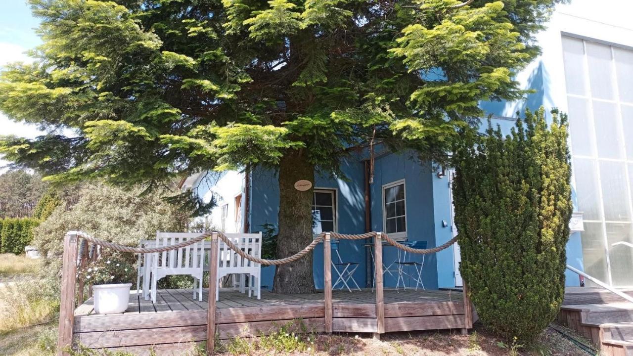 Ferienwohnung Naturparadies Gnitz Lutow ภายนอก รูปภาพ